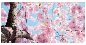 Kvitnúce strom - obraz (Obraz 160x80cm)