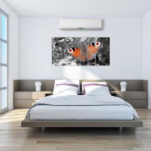 Oranžový motýľ - obraz (Obraz 160x80cm)