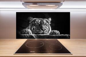 Sklenený panel do kuchyne Tiger pksh-101258480