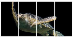 Obraz plávajúce korytnačky (Obraz 160x80cm)
