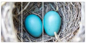 Obraz modrých vajíčok v hniezde (Obraz 160x80cm)