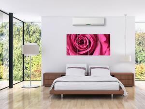 Obraz ružové ruže (Obraz 160x80cm)