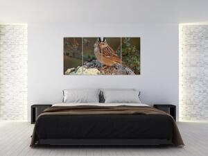 Obrazy zvierat (Obraz 160x80cm)