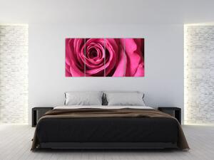 Obraz ružové ruže (Obraz 160x80cm)