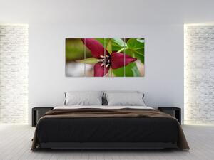 Kvitnúca rastlina - obrazy do domu (Obraz 160x80cm)