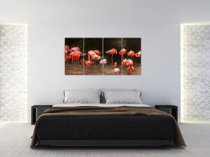 Obraz plameniakov (Obraz 160x80cm)