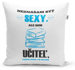 Sablio Vankúš Neznášam byť sexy, ale som učiteľ: 40x40 cm