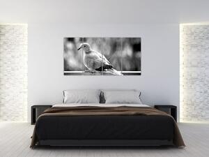 Čiernobiely obraz vtáka (Obraz 160x80cm)