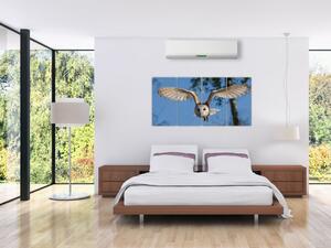 Obraz letiaci sovy (Obraz 160x80cm)