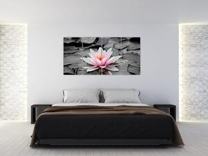 Obraz kvitnúceho lekna (Obraz 160x80cm)