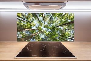 Dekoračný panel sklo Koruna stromov pksh-119047799