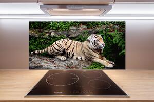 Panel do kuchyne Tiger na skale pksh-118161704