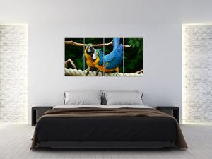 Obraz papagájov na lane (Obraz 160x80cm)