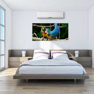 Obraz papagájov na lane (Obraz 160x80cm)