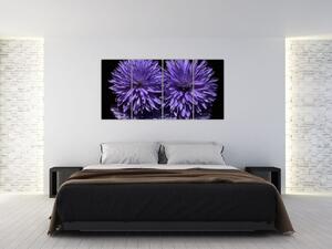 Obraz fialových kvetov (Obraz 160x80cm)