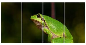 Obraz žaby (Obraz 160x80cm)