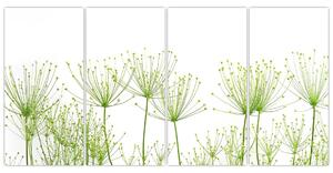 Obraz rastlín na bielom pozadí (Obraz 160x80cm)