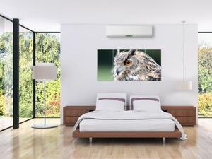 Vyzerajúce sova - obraz (Obraz 160x80cm)