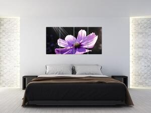 Obraz fialového kvetu (Obraz 160x80cm)