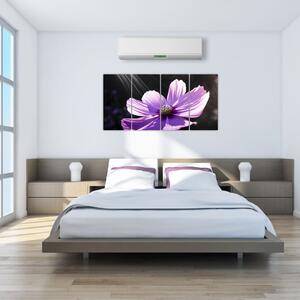 Obraz fialového kvetu (Obraz 160x80cm)