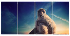 Obraz opice - obrazy zvierat (Obraz 160x80cm)