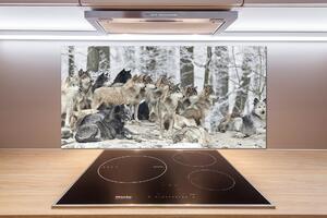 Dekoračný panel sklo Vlci a zima pksh-171243935