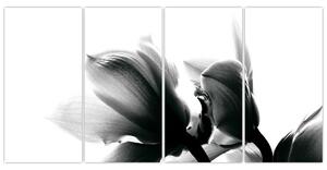 Obraz čiernobielych kvetov (Obraz 160x80cm)