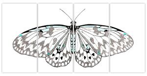 Čiernobiely motýľ (Obraz 160x80cm)