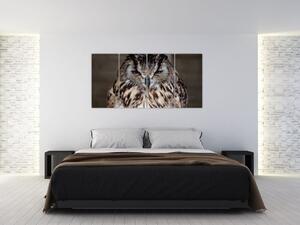 Obrazy - sova (Obraz 160x80cm)