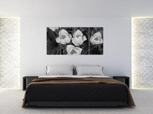 Čiernobiele kvety (Obraz 160x80cm)
