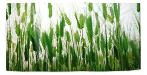 Sablio Uterák Klasy - 30x50 cm