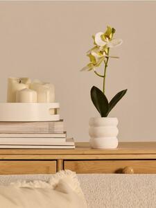 Sinsay - Dekoratívna rastlina v kvetináči – orchidea - biela