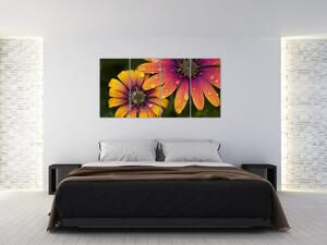 Obraz kvetín (Obraz 160x80cm)