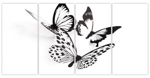 Obraz motýľov (Obraz 160x80cm)