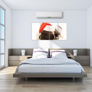 Obraz psa s čiapkou (Obraz 160x80cm)