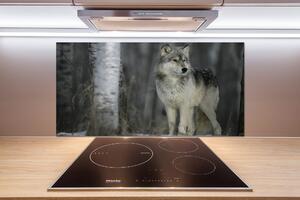 Dekoračný panel sklo Sivý vlk pksh-57875164