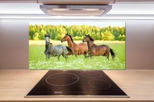 Panel do kuchyne Kone v cvale pksh-58845191