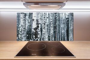 Panel do kuchyne Stromy breza pksh-60759693