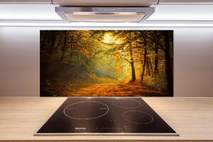 Dekoračný panel sklo Jesenný les pksh-60738927