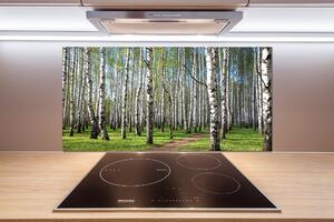 Dekoračný panel sklo Brezovy les pksh-64516023