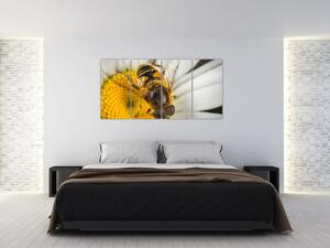 Obraz - detail včely (Obraz 160x80cm)