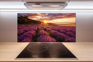 Dekoračný panel sklo Pole levanduľa pksh-68209726
