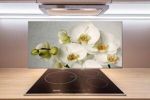 Panel do kuchyne Biela orchidea pksh-67521473