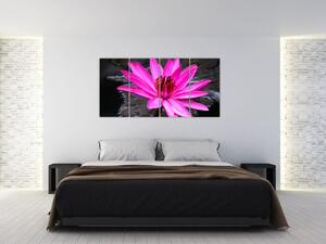 Obraz s detailom kvetu (Obraz 160x80cm)