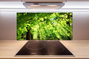 Dekoračný panel sklo Lístie buka pksh-82554277