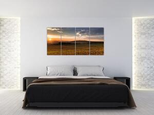 Obraz zapadajúceho slnka na poli (Obraz 160x80cm)