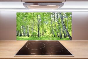 Dekoračný panel sklo Brezovy les pksh-84161730