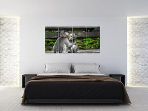 Obraz na stenu - opice (Obraz 160x80cm)