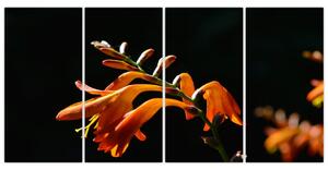 Obraz detailu kvety (Obraz 160x80cm)