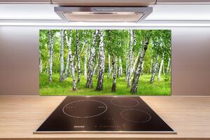 Dekoračný panel sklo Brezovy les pksh-85613602